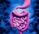 Parkinson's disease can migrate from gut to brain, shows research